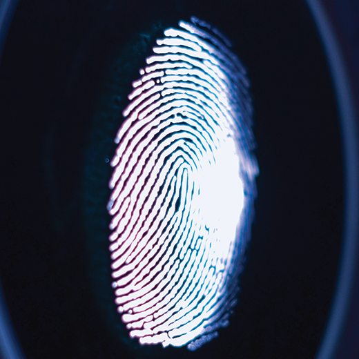 Digital fingerprint Photo by George Prentzas on Unsplash